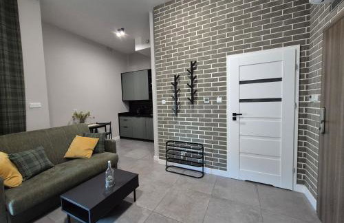 APARTAMENTY PRUCHNICKA - Foto 56