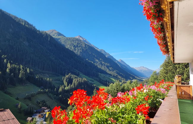 Garni Vesul - Foto 41