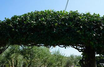 Maison Valentina - Foto 17