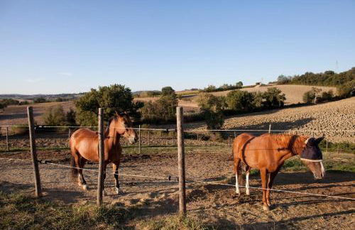 Casale Talevi - Foto 59