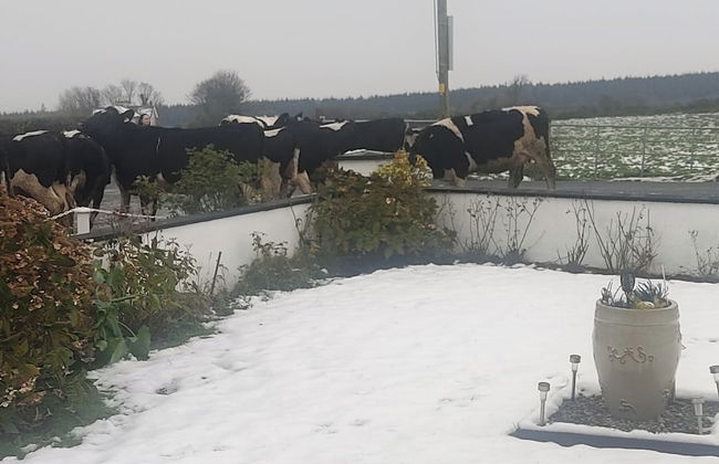 Cozy Cottage Retreat in Listowel pet Friend - Foto 13