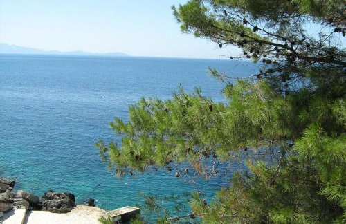 Apartments Bisko - Photo 10