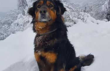 The Strawhouse under the mountain - Foto 49