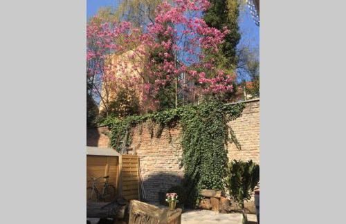 Beautiful Backyard Remise - Photo 14