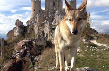 Agriturismo Cignale della Società Agricola Cignale srl - Photo 38