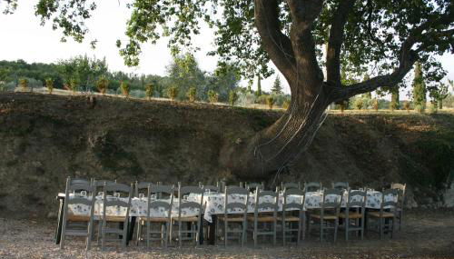 Agriturismo Escaia - Foto 4