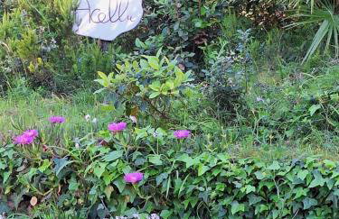 Gîte Acellu - Foto 36