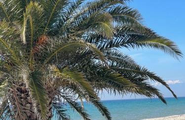 Blue Pearl Beach House - Foto 16