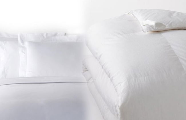 5 Room Saddlebrook Golfview Villa 2BR 2BA - Photo 42