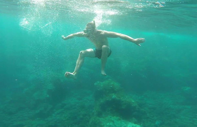 Snorkel en Funchal - Foto 5