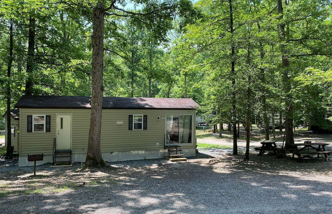 The Vintage Rv's at Wilderness Presidential by Tripforth - Foto 32