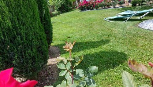 villa la Prairie - Foto 4, Garden