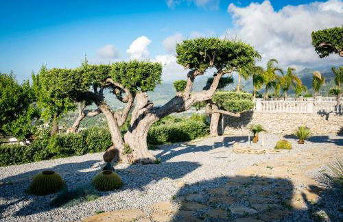 Tenuta Pietravera - Foto 23