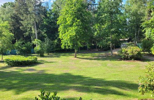 Royal Whirlpool Suites Lüneburger Heide - Foto 41