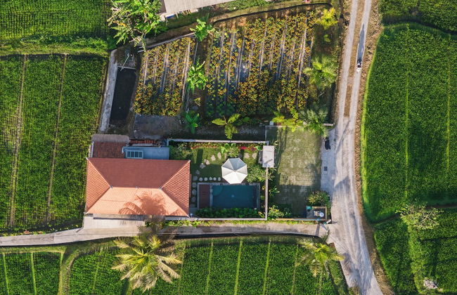 Wisana Villa Sebatu by Uniquecations - Foto 31