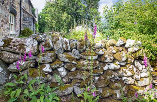 Pant Yr Iwrch - Foto 20