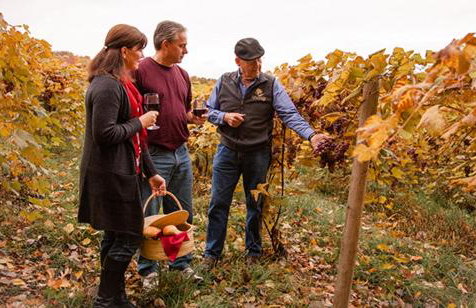 Serenity On The Lake - Foto 30