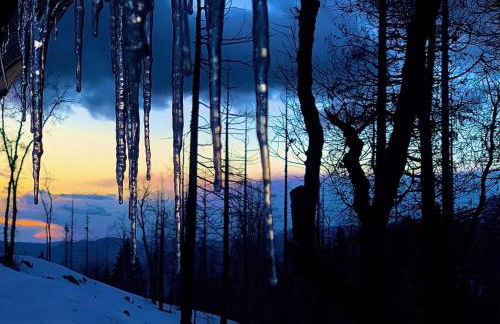 Creekside Cabin - Pup-Friendly with AC - Foto 51