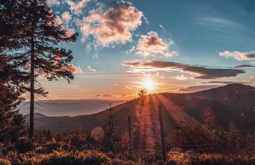 Apartament Hutnicza - Foto 32