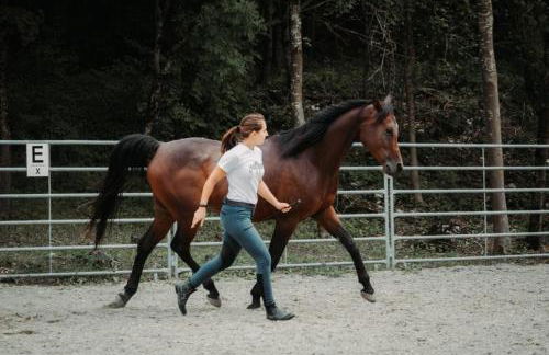 La Tenuta Va Oltre - Foto 59