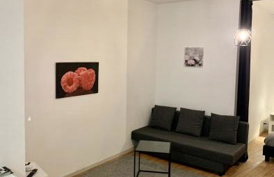 STUDIO COSY - HYPERCENTRE - CALME - 50M2 - Wi-FI - Foto 14