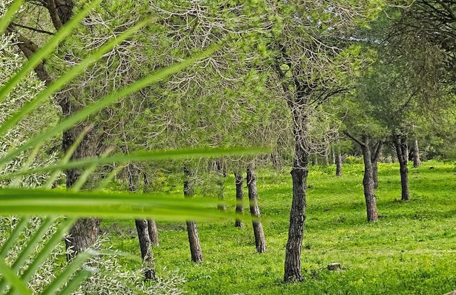 SUEÑA LA BREÑA - Foto 40