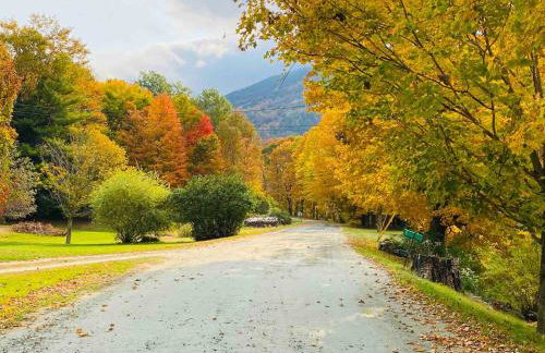 Red Barn Cabin Near Okemo - Foto 11