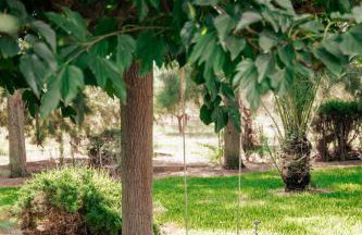 Agroturismo Son Barceló Mas - Foto 117