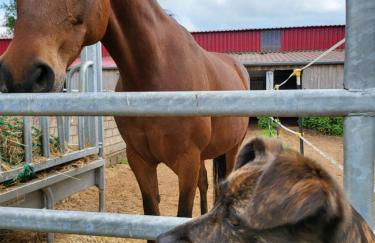 Pension Kostera - Foto 21