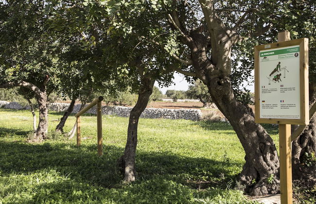 Agriturismo Masseria Cianciò - Foto 27