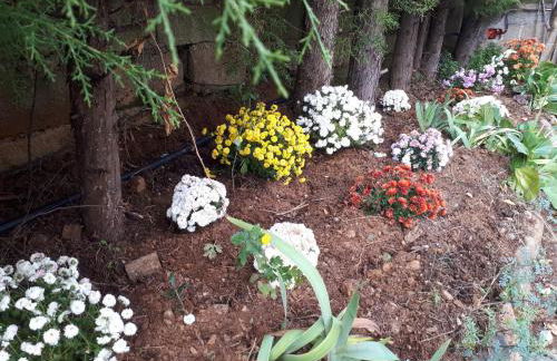 Quintinha dos Cedros - Foto 64