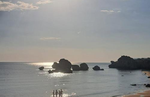 Alba Chiara Licata - Foto 11
