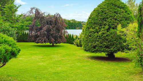 Ferienhaus Wokuhl-Dabelow - Foto 2