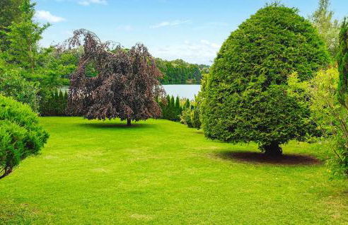 Ferienhaus Wokuhl-Dabelow - Foto 2