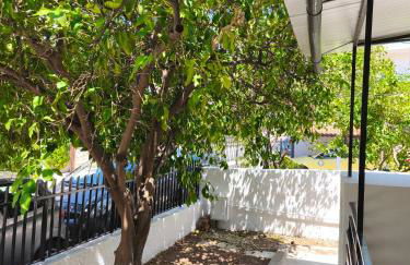 Flya House - Foto 11