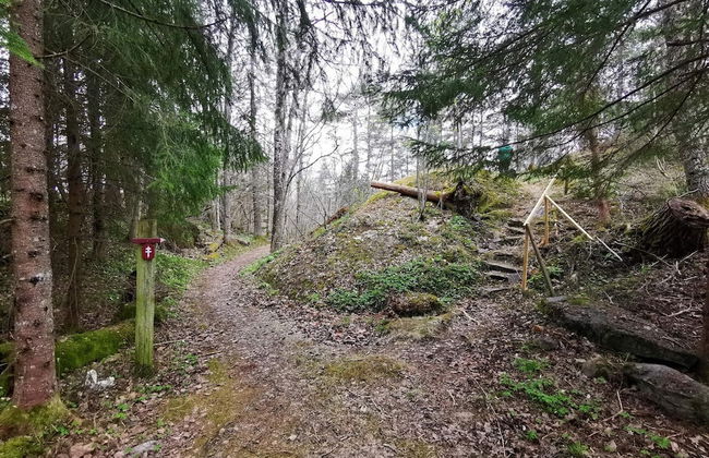 4 Person Holiday Home in Dals Rostock - Foto 16