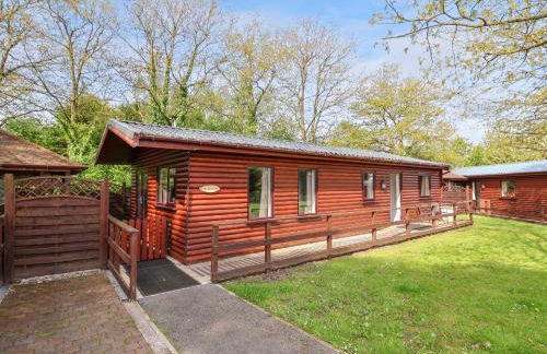 The Blacktail - Foto 1