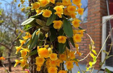 Casa para relaxar em Chapada dos Guimarães - Foto 34