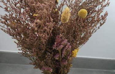 New villa 5mn from the beach-Pyrenees view - Foto 7