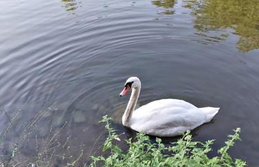 INTERNO 13 Apartament - Foto 19
