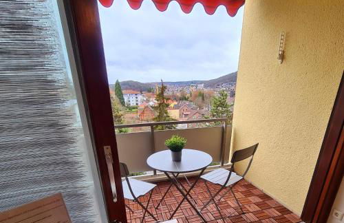 1,5 Zimmer Apartments mit traumhafter Aussicht - Foto 8