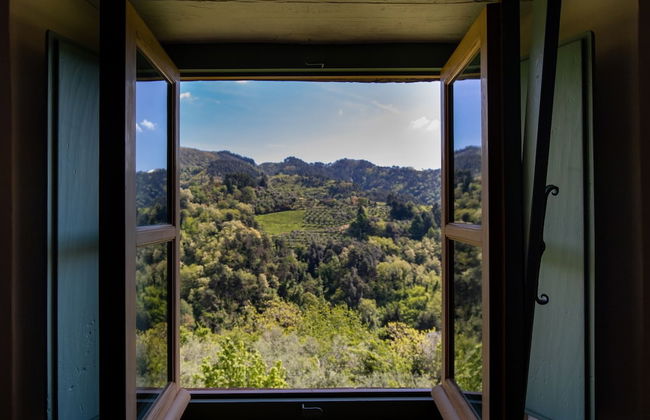 Villa Barsotti - Foto 39