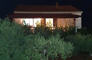 Apartments Elena - Foto 19