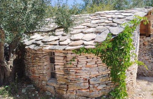 Marti's house in the olive grove - Foto 29