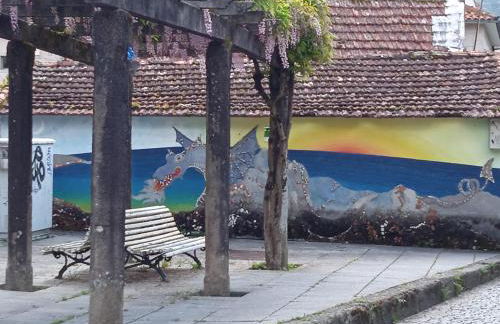 As Mimosas d'Cross - Foto 51