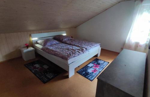 Helga's Candy Ranch - Foto 9