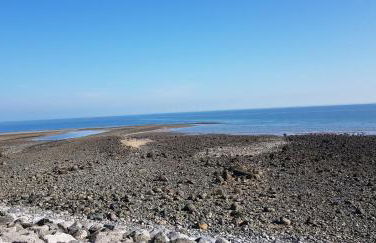 3 Harbour Views - Foto 45