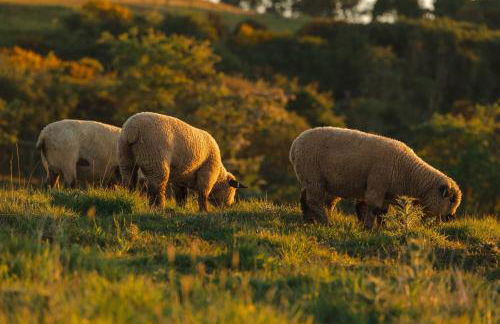 Firth View 2 - Country Escape with Sea Views of Arran! - Foto 80