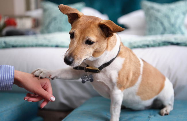 The Apartments by The Sloane Club - Foto 38