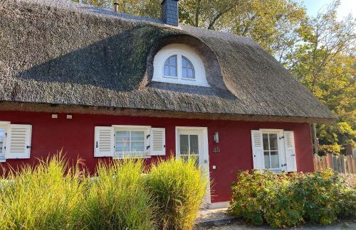 Ferienhaus Stella - Foto 2